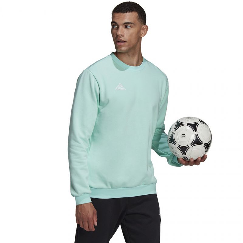 Bluza adidas entrada 22 sweat top m