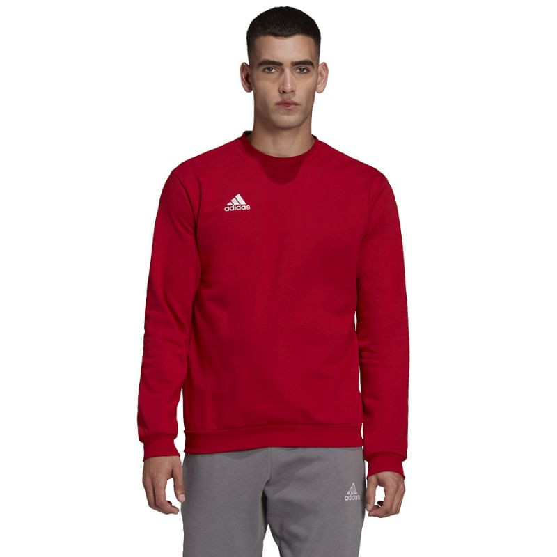 Bluza adidas entrada 22 sweatshirt m hb0577