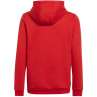 Bluza adidas entrada 22 hoody jr h5756