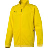 Bluza puma liga training jacket junior 655688