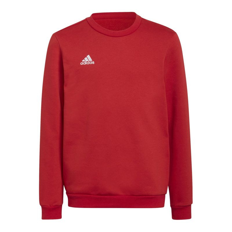 Bluza adidas entrada 22 sweat jr