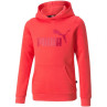 Bluza puma ess logo hoodie fl jr 587031