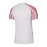 Koszulka nike dri-fit academy ss m dh8031