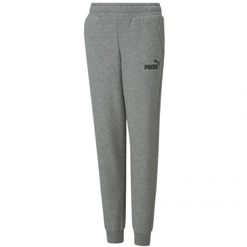 Spodnie puma ess logo pants fl jr 586973