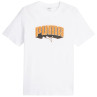 Koszulka puma graphics hip hop tee m