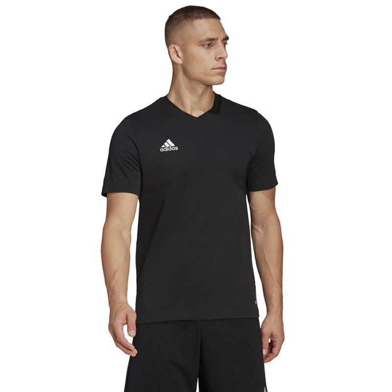 Koszulka adidas entrada 22 tee m