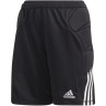 Adidas tierro goalkeeper shorts jr