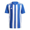 Koszulka adidas striped 21 jr