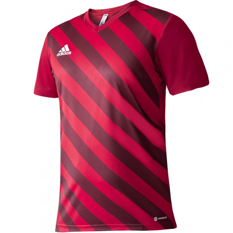 Koszulka adidas entrada 22 graphic jersey jr