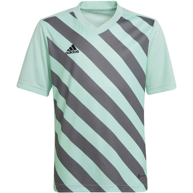 Koszulka adidas entrada 22 graphic jersey jr