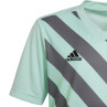 Koszulka adidas entrada 22 graphic jersey jr