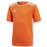 Koszulka adidas entrada 18 jsy y jr cf1043