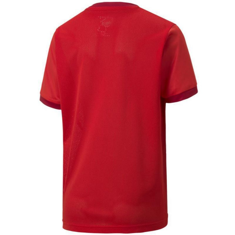 Koszulka puma teamgoal 23 jersey jr 704160