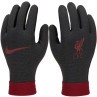 Rękawiczki nike liverpool fc thermafit ho23 jr