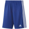 Spodenki adidas squadra 21 short m