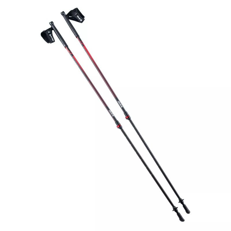 Kije nordic walking hi-tec eclipsis