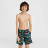 Szorty kąpielowe o'neill jack cali crazy 14'' swim shorts jr