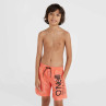 Szorty kąpielowe o'neill mix& match cali floral 13'' swim shorts jr