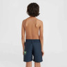 Szorty kąpielowe o'neill circle surfer 14" swim shorts jr