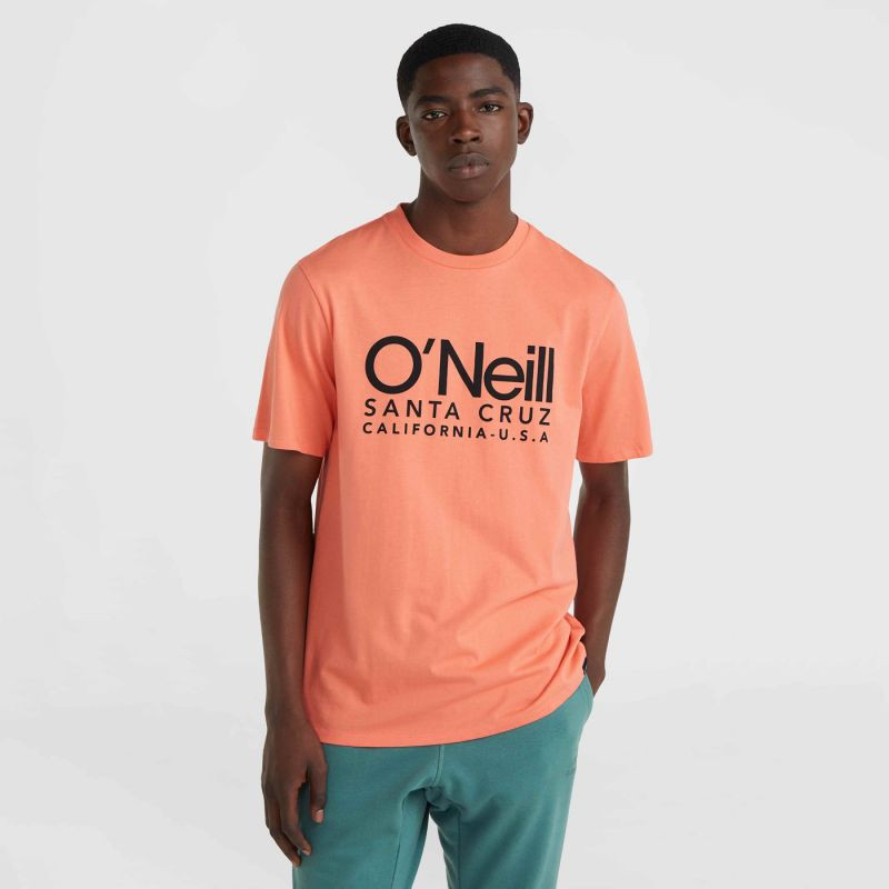 Koszulka o'neill cali original t-shirt m