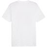 Koszulka puma graphics summer sports tee ii m 627909