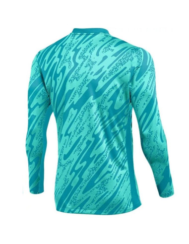 Bluza nike gardien v goalkeeper df v m fd7474