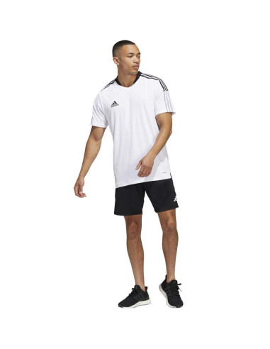 Spodenki adidas tiro 23 competition m