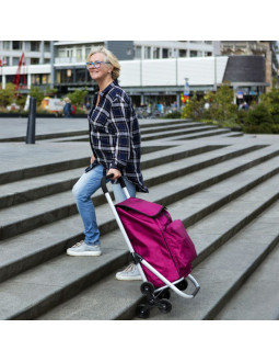 Wózek zakupowy expert premium 604353 2