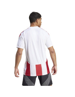 Koszulka adidas striped 24 jsy m 2