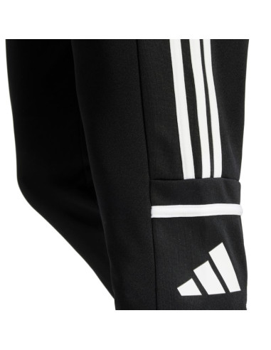 Spodnie adidas squadra 25 training m