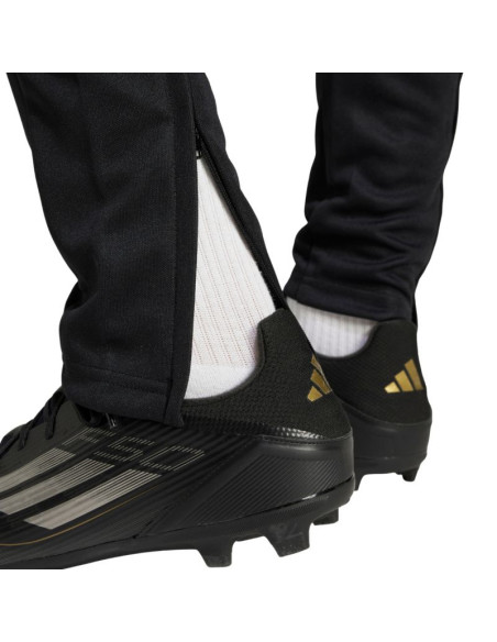 Spodnie adidas squadra 25 training m