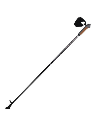 Kijki nordic walking titanium