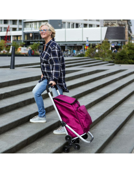 Wózek zakupowy cruiser expert premium 604361