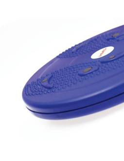 Krążek obrotowy hms 2