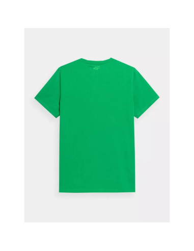 Koszulka 4f m 4fss23ttshm311