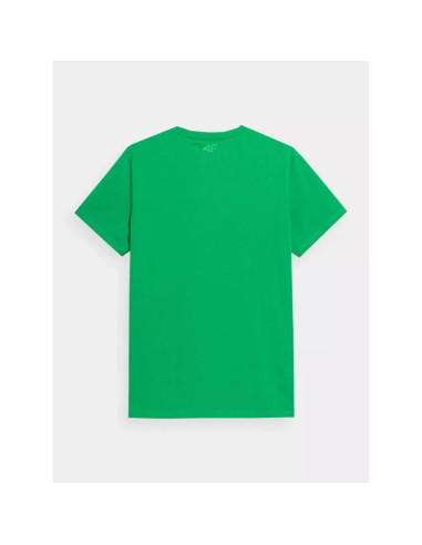 Koszulka 4f m 4fss23ttshm311