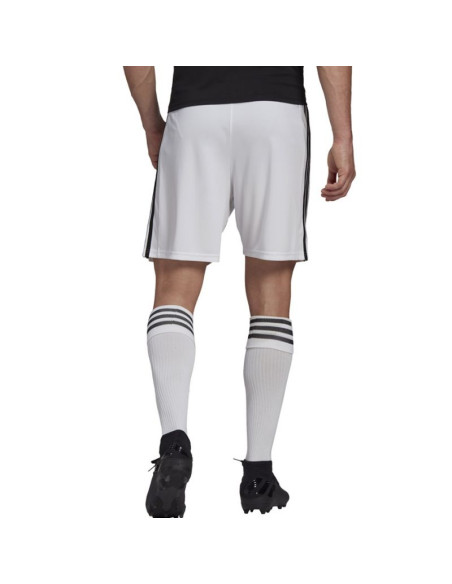 Spodenki adidas squadra 21 short m