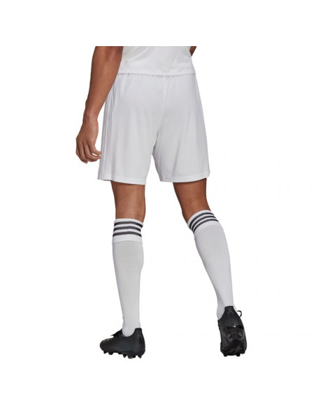 Spodenki adidas squadra 21 short m