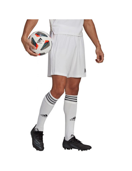Spodenki adidas squadra 21 short m