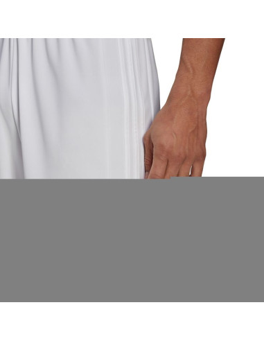 Spodenki adidas squadra 21 short m