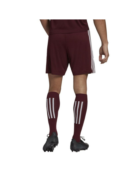 Spodenki adidas squadra 21 short m
