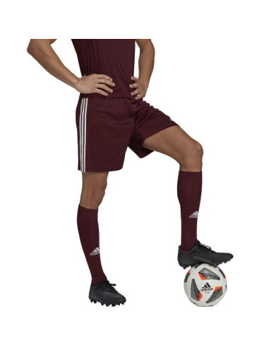 Spodenki adidas squadra 21 short m