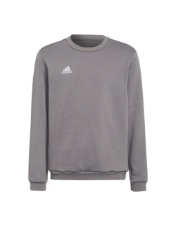 Bluza adidas entrada 22 sweat top jr