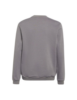 Bluza adidas entrada 22 sweat top jr 2