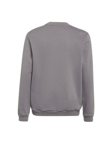 Bluza adidas entrada 22 sweat top jr