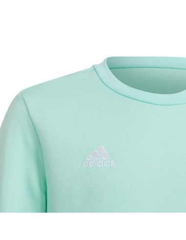 Bluza adidas entrada 22 sweat top jr