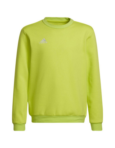 Bluza adidas entrada 22 sweat top jr