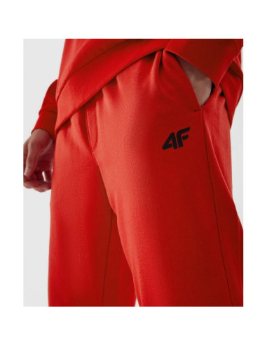 Spodnie 4f cas m451 m 4faw23ttrom451