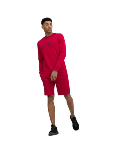 Spodenki 4f m156 m 4fss23tshom156