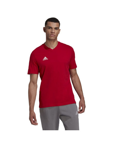 Koszulka adidas entrada 22 tee m